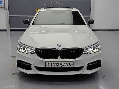 BMW 5시리즈 (G30) 530i M 스포츠 플러스 사진 2