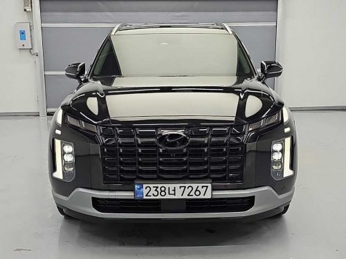 현대 더 뉴 팰리세이드 디젤 2.2 4WD 사진 2