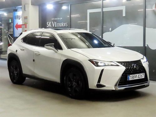 렉서스 UX 250h 2.0 2WD