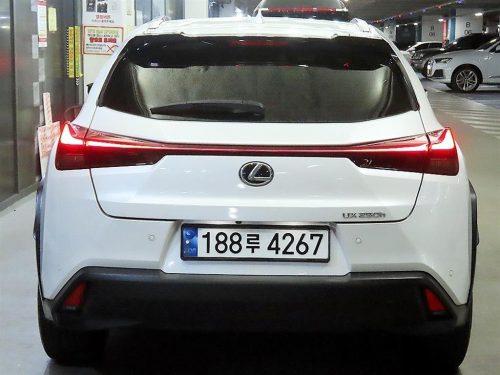 렉서스 UX 250h 2.0 2WD 사진 5