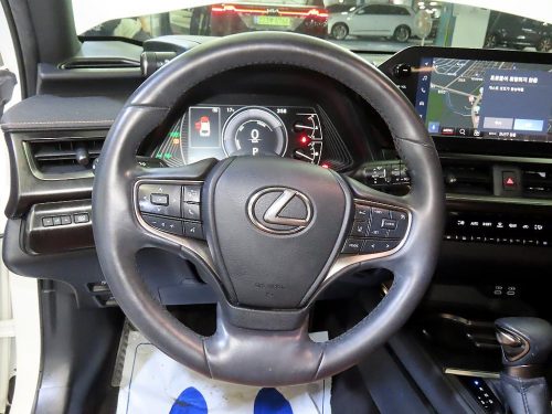렉서스 UX 250h 2.0 2WD 사진 8