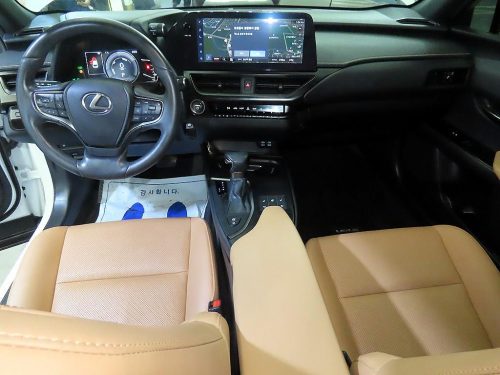 렉서스 UX 250h 2.0 2WD 사진 10