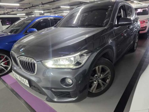 BMW X1 (F48) xDrive 18d