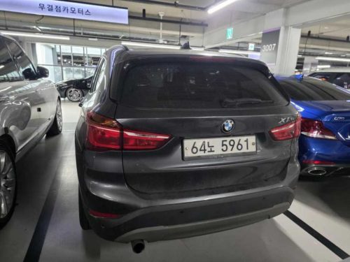 BMW X1 (F48) xDrive 18d 사진 2