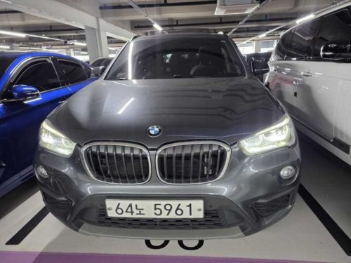 BMW X1 (F48) xDrive 18d 사진 8