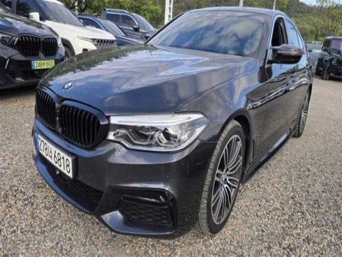 BMW 5시리즈 (G30) 530i M 스포츠 플러스 사진 8