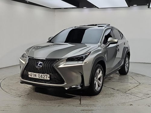 렉서스 NX 300h 이그제큐티브