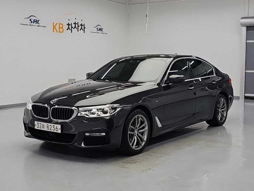 BMW 5시리즈 (G30) 530i M 스포츠 플러스
