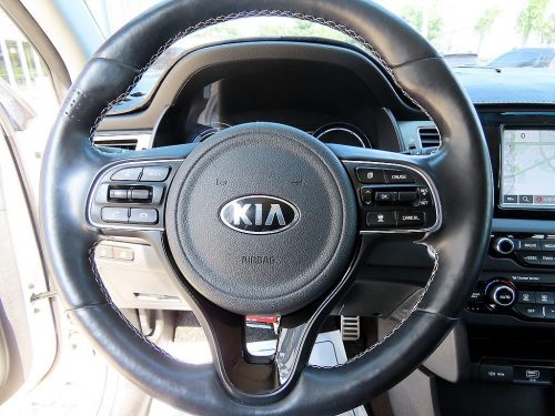 Kia Niro EV Noblesse photo 8
