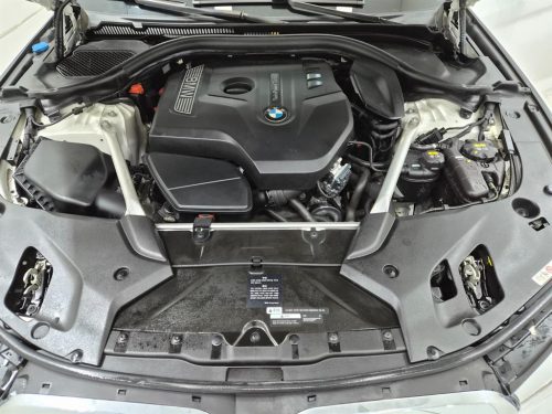 BMW 5시리즈 (G30) 520i 럭셔리 사진 19