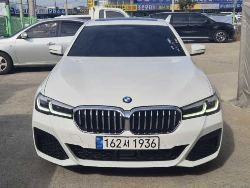 BMW 5시리즈 (G30) 530i xDrive M 스포츠