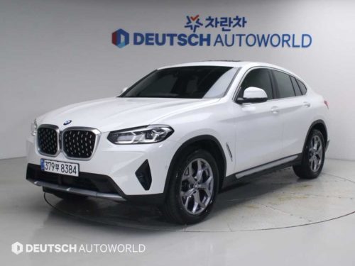 BMW X4 (G02) xDrive 20i xLine