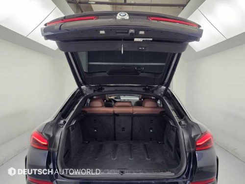 BMW X6 (G06) xDrive 40i M 스포츠 사진 19