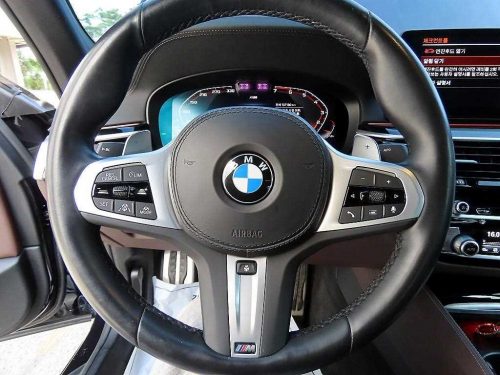 BMW 5시리즈 (G30) 530i M 스포츠 사진 8