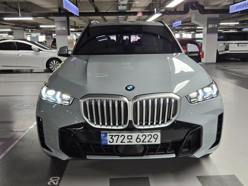 BMW X5 (G05) xDrive 30d M 스포츠