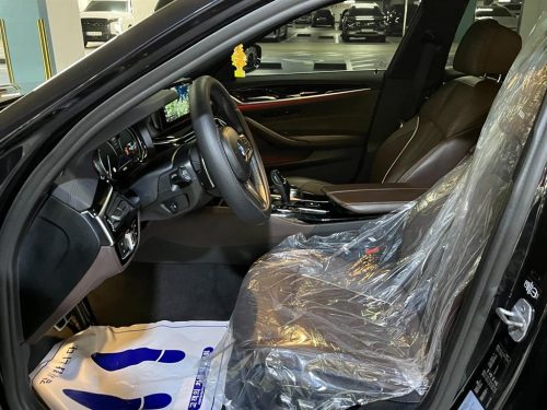 BMW 5시리즈 (G30) 520d M 스포츠 플러스 사진 12