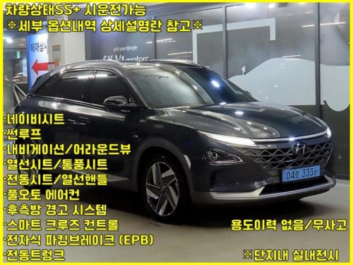현대 넥쏘 프리미엄