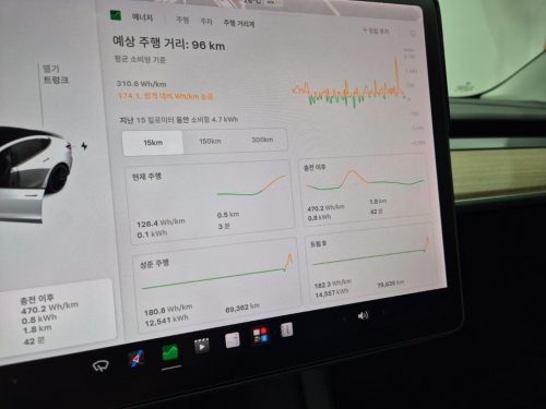 테슬라 모델 3 롱 레인지 사진 6