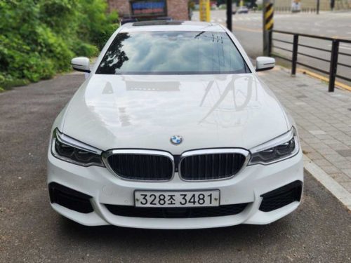 BMW 5시리즈 (G30) 520d xDrive M 스포츠 플러스