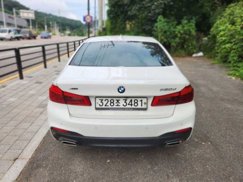 BMW 5시리즈 (G30) 530i xDrive M 스포츠 사진 6