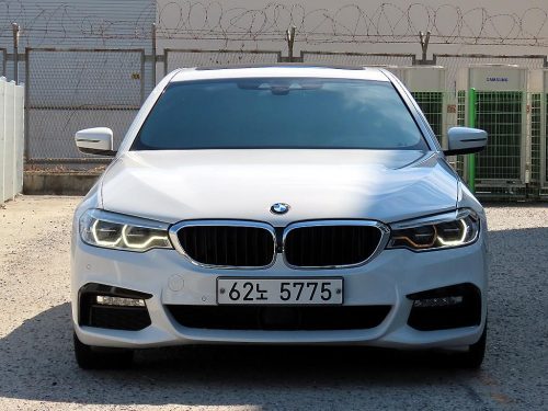 BMW 5시리즈 (G30) 520d xDrive M 스포츠 플러스