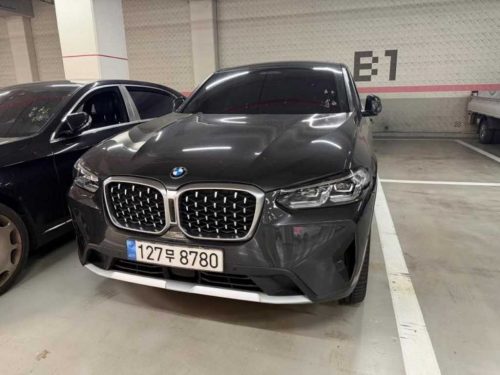 BMW X4 (G02) xDrive 20i xLine