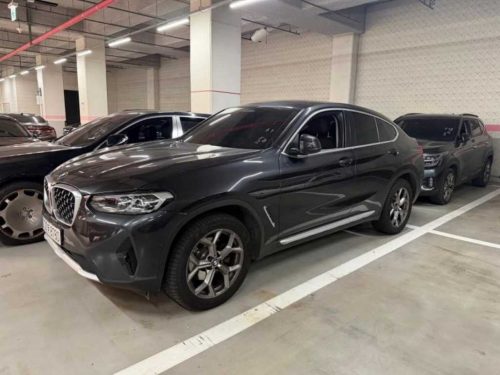 BMW X4 (G02) xDrive 20i xLine 사진 2