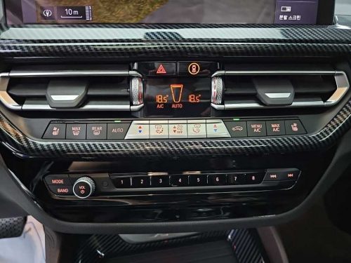 BMW X4 (G02) xDrive 20i xLine 사진 10