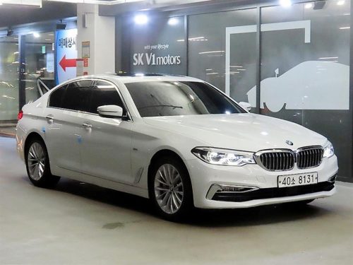 BMW 5시리즈 (G30) 530i xDrive 럭셔리 플러스