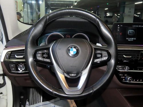 BMW 5시리즈 (G30) 530i xDrive 럭셔리 플러스 사진 8