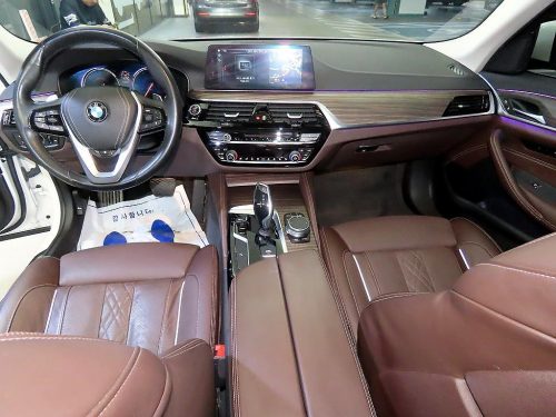 BMW 5시리즈 (G30) 530i xDrive 럭셔리 플러스 사진 10
