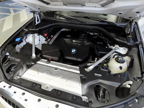 BMW X3 (G01) xDrive 20i M 스포츠 사진 19