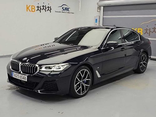 BMW 5시리즈 (G30) 530i xDrive M 스포츠