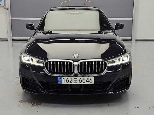 BMW 5시리즈 (G30) 530i xDrive M 스포츠 사진 2