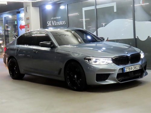 BMW 5시리즈 (G30) 530i xDrive M 스포츠