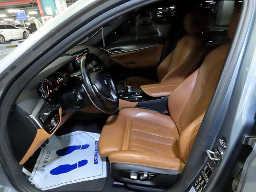 BMW 5시리즈 (G30) 530i xDrive M 스포츠 사진 6