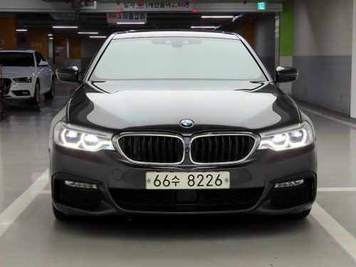 BMW 5시리즈 (G30) 520d M 스포츠 플러스