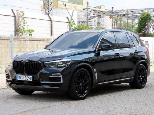 BMW X5 (G05) xDrive 30d xLine 사진 2