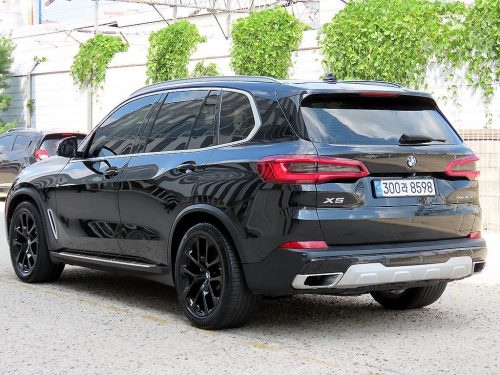 BMW X5 (G05) xDrive 30d xLine 사진 3