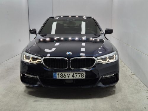 BMW 5시리즈 (G30) 530i 럭셔리 플러스