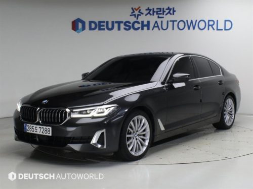 BMW 5시리즈 (G30) 530i xDrive 럭셔리