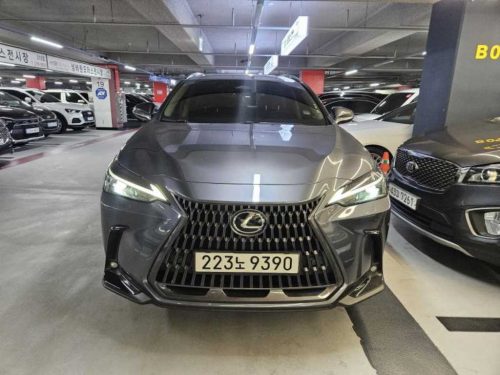 렉서스 NX 350h 프리미엄