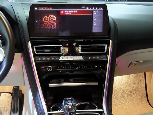 BMW 8시리즈 (G15) M850i xDrive 그란 쿠페 사진 11