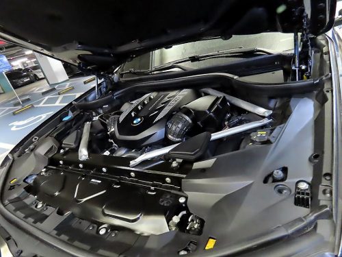 BMW X7 (G07) M50i 사진 19