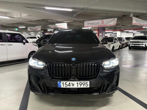 BMW X3 (G01) xDrive 30e M 스포츠 프로