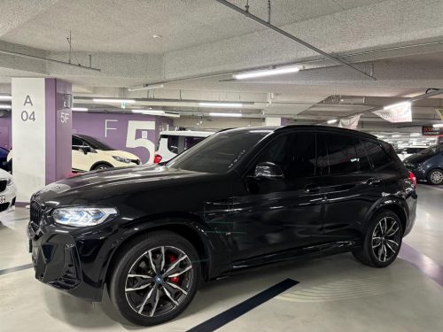 BMW X3 (G01) xDrive 30e M 스포츠 프로 사진 2