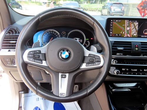 BMW X4 (G02) xDrive 20d M 스포츠 X 사진 8