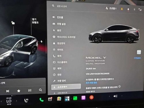 테슬라 모델 Y 롱 레인지 사진 6