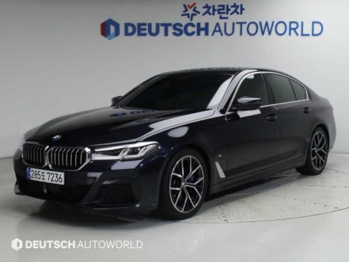 BMW 5시리즈 (G30) 530i xDrive M 스포츠