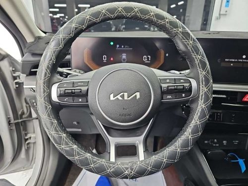 기아 더 뉴 K5 3세대 2.0 LPi (렌트카용) 사진 9